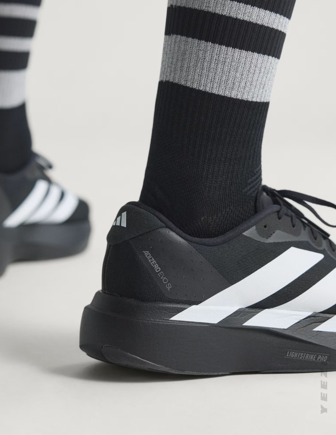 Adizero Evo SL feminino treino e corrida