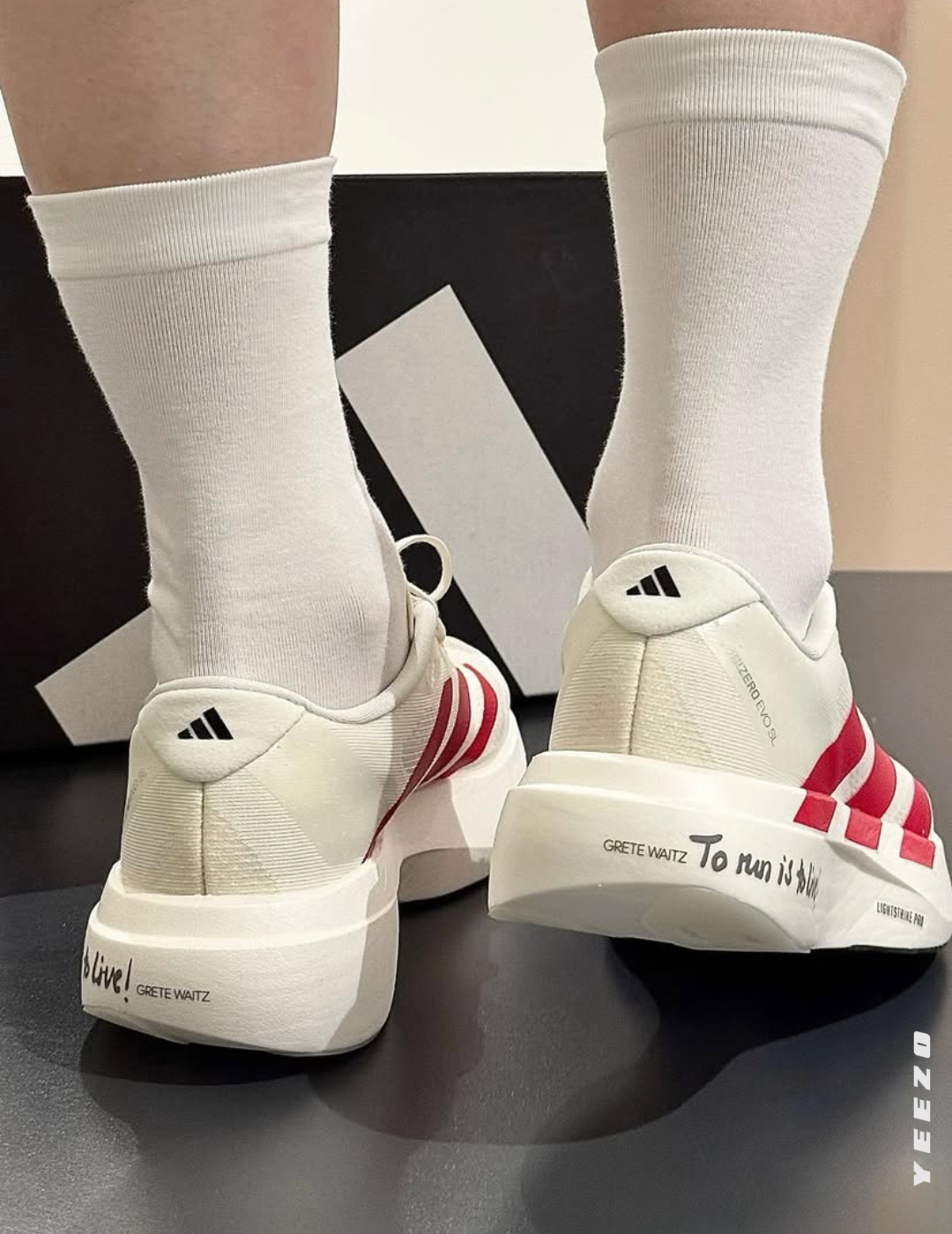 Adizero Evo SL