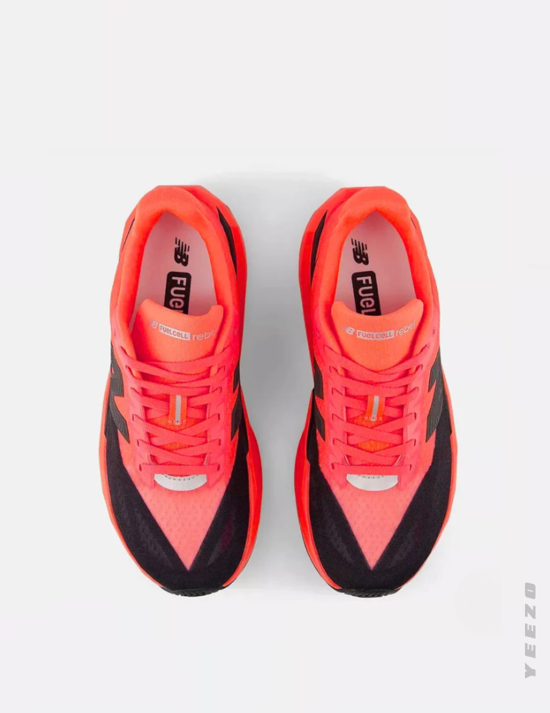 NB Fuelcell Rebel V5 feminino treino e corrida